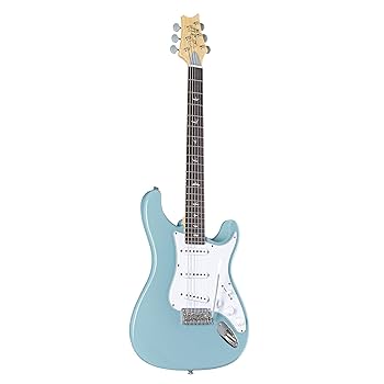 Amazon.com: Paul Reed Smith 6 String SE Silver Sky Stone